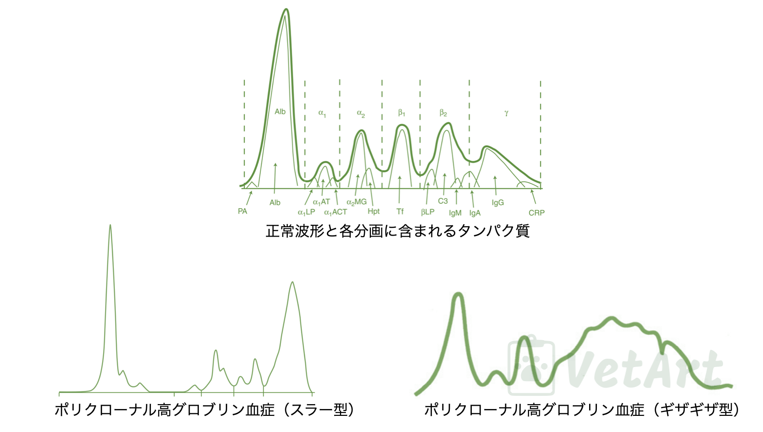 エールリヒア症はどのように治療されますか?