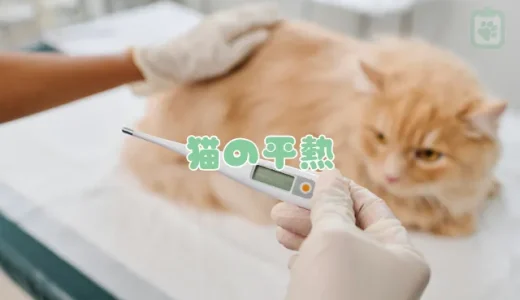 猫の平熱は何度？体温が高い・低いときの危険なサインと対処法
