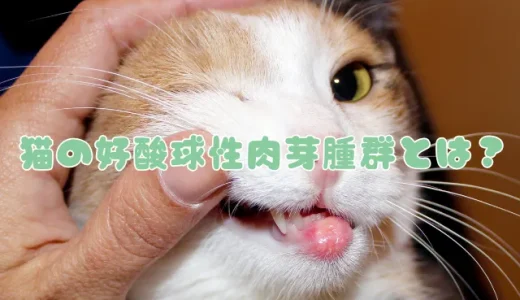 猫の好酸球性肉芽腫群とは？アレルギーが原因？症状と治療法を解説