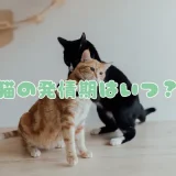 猫の発情期（さかり）はいつ？期間や特徴的な鳴き声、飼い主ができる対処法を解説