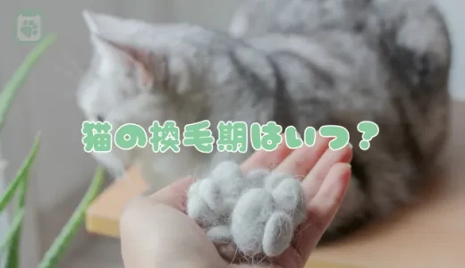 猫の換毛期はいつ？ごっそり抜ける抜け毛対策とブラッシングのコツ