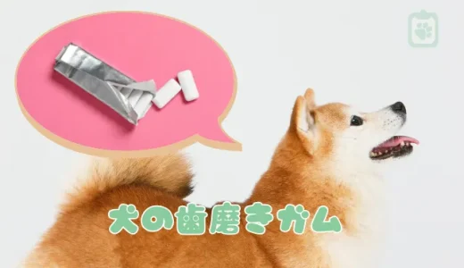 犬の歯磨きガム、効果と安全な選び方｜与え方の注意点と口臭ケア