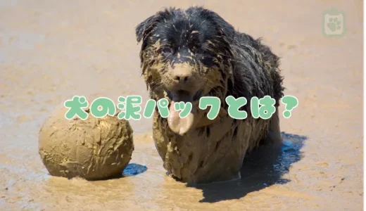 話題の犬の泥パックとは？期待できる効果と料金、自宅で手作りする方法も紹介
