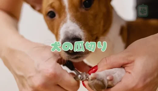 犬の爪切り、自宅でできる方法とコツ｜頻度・嫌がる場合の対処法・止血法