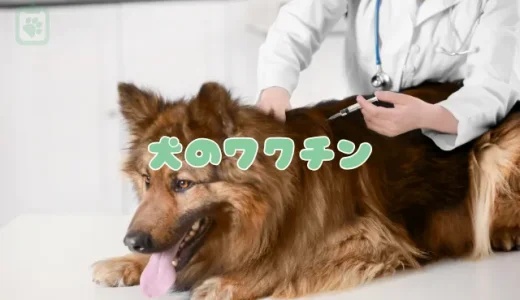 【2025年版】犬のワクチン（予防接種）の種類・費用・時期を獣医師が一覧で解説