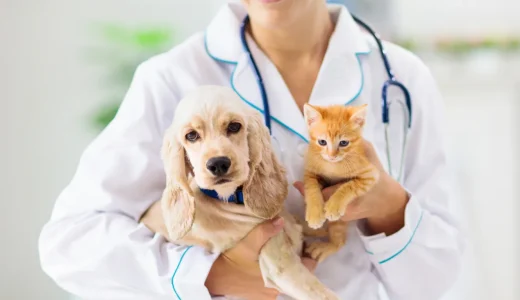 小動物臨床現場で必要な計算の練習問題
