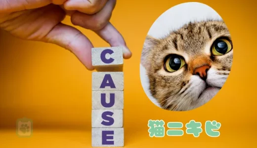猫のあごの黒いブツブツは「猫ニキビ」？原因と治し方、ケア方法