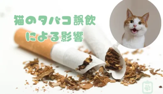 猫がタバコを誤飲！致死量とニコチン中毒の危険性｜獣医師が教える緊急対処法