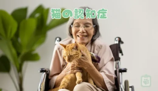 猫の認知症（認知機能不全症候群）とは？夜鳴きなどの症状と対策