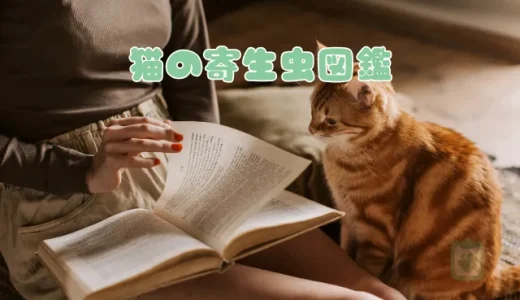 猫の寄生虫図鑑｜ノミ・ダニから回虫まで症状と人への影響を解説