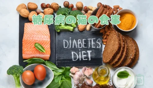 猫の糖尿病、食事療法が鍵！療法食の選び方と与え方の注意点