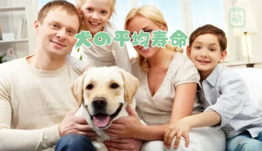 【獣医師監修】犬の平均寿命、ギネス記録は？人年齢換算表と長生きの秘訣