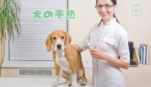犬の平熱は何度？発熱時の正しい体温の測り方と自宅でできる下げ方・対処法