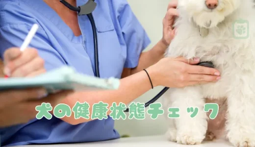 毎日できる犬の健康チェック10項目！獣医師が教える病気のサインと健康管理法