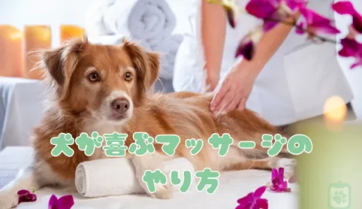 犬が喜ぶマッサージのやり方｜リラックスや便秘解消に！効果と注意点を解説