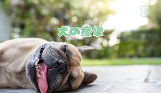 【獣医師監修】犬が痙攣！てんかん？考えられる原因と病気、緊急時の対処法を解説